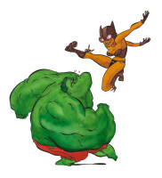 catwoman vs hulk (encres de couleur)